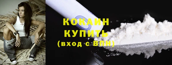 гидра Белокуриха