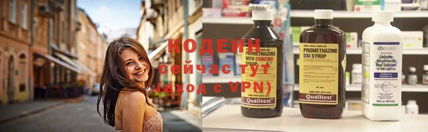хмурый Тайга