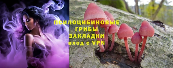 прущие крисы Белоозёрский